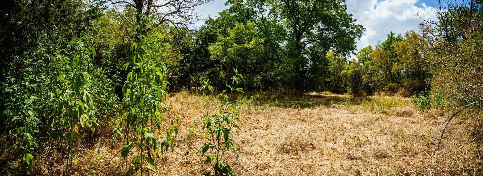 0.16 acres in Kaufman County