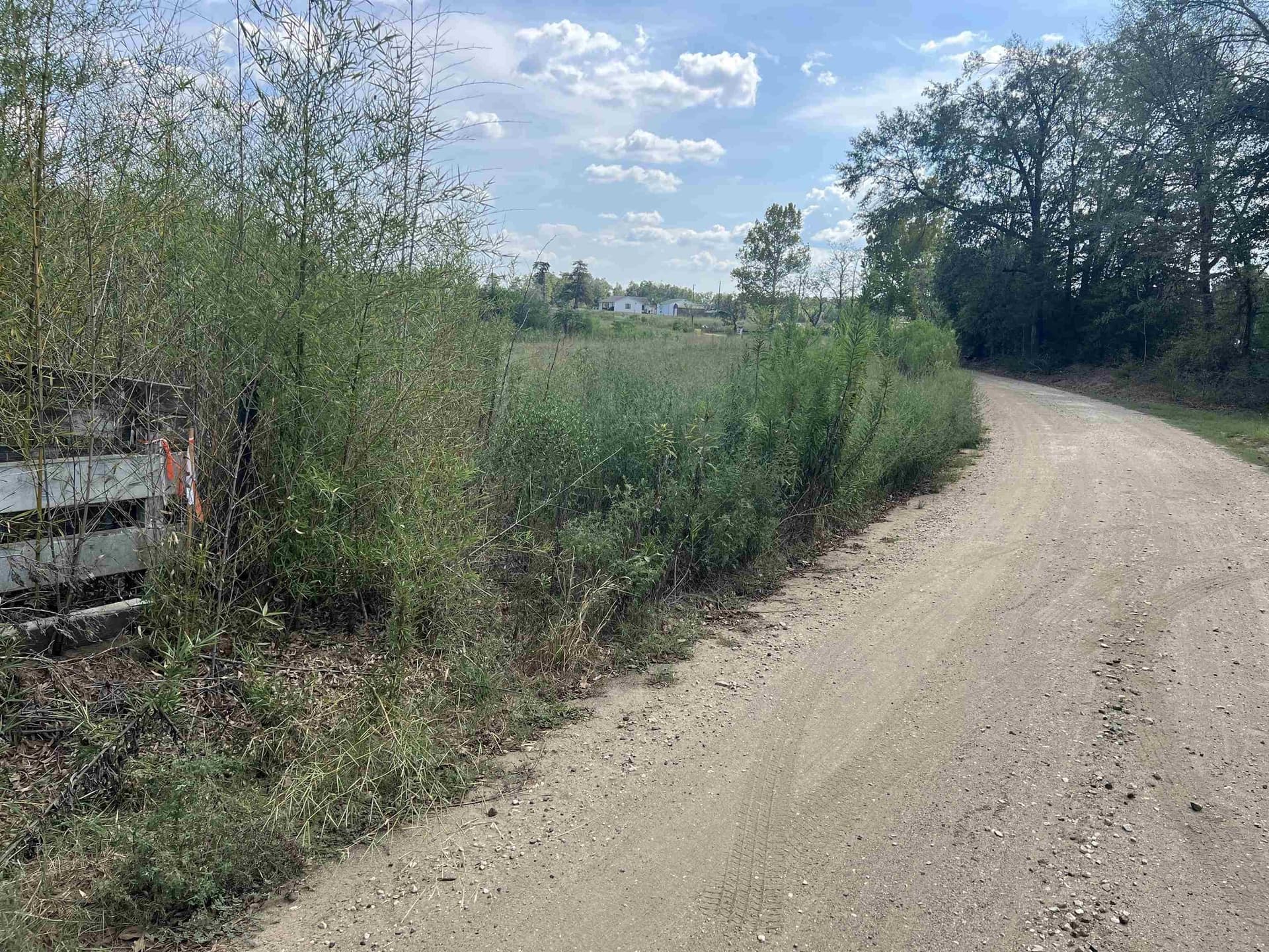 4 acres in Shelby County - photo 5