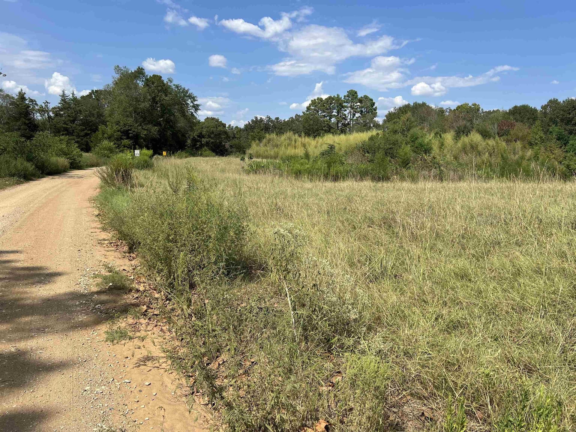 4 acres in Shelby County - photo 3