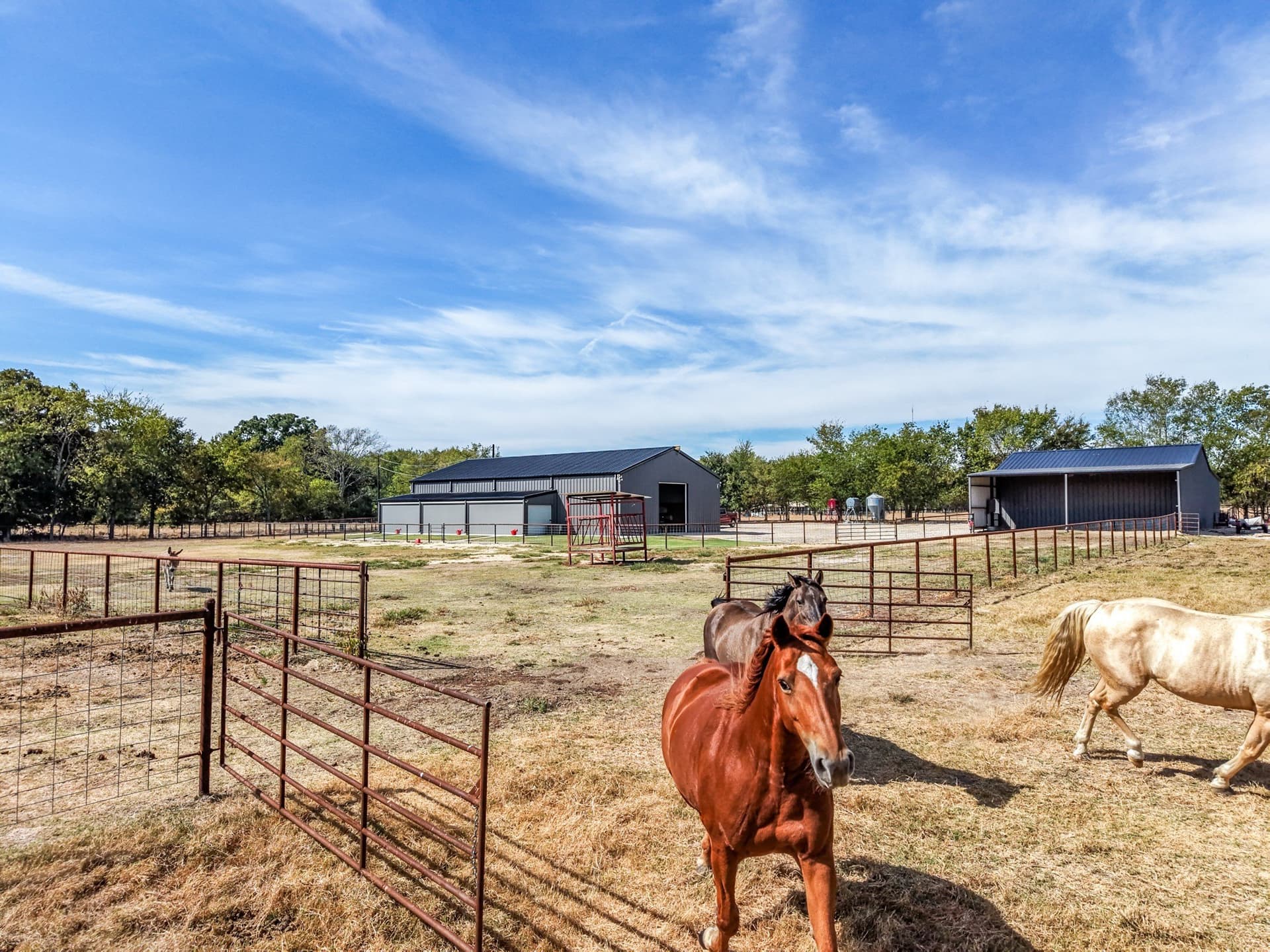 92 acres in Hopkins County - photo 34