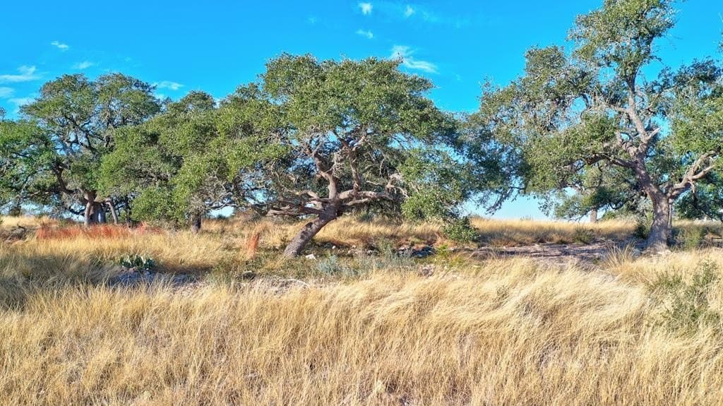 5.01 acres in Gillespie County - photo 19