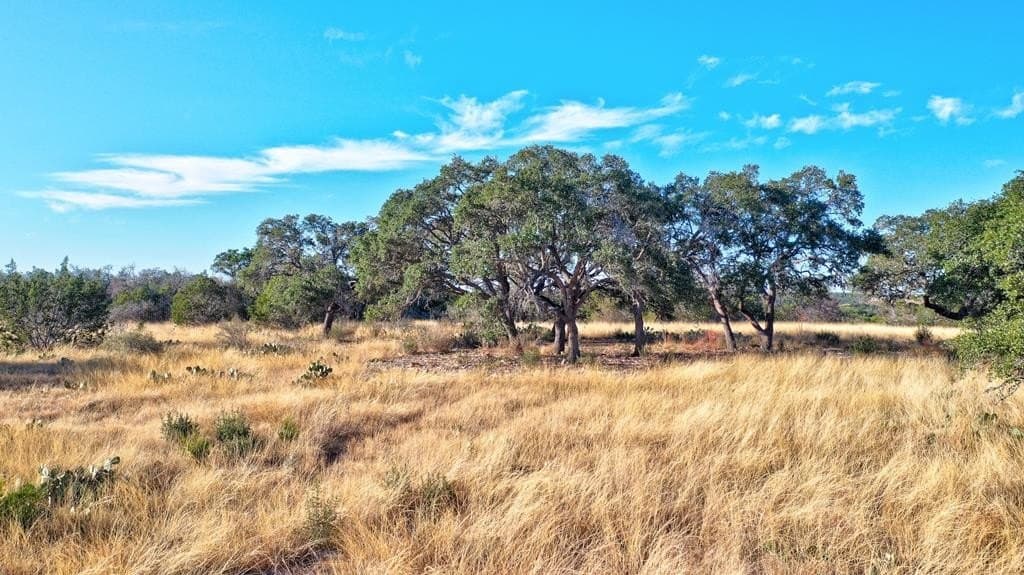 5.01 acres in Gillespie County - photo 20