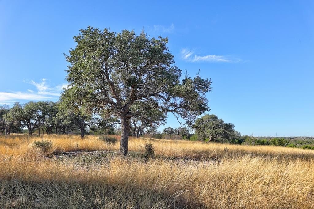 5.01 acres in Gillespie County gallery image 3