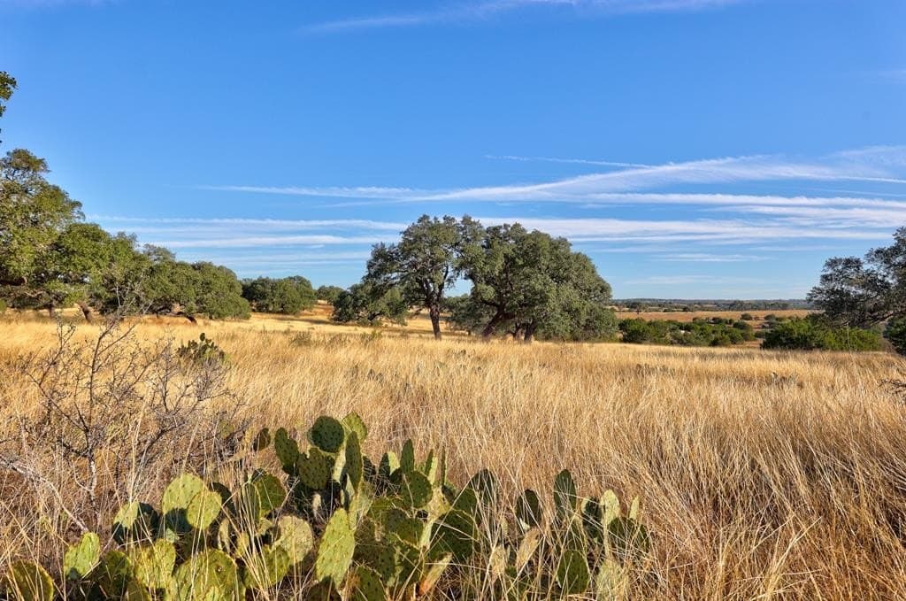 5.01 acres in Gillespie County - photo 10