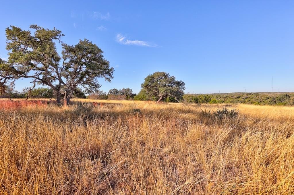 5.01 acres in Gillespie County gallery image 4