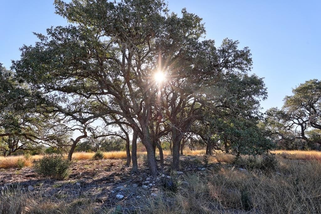 5.01 acres in Gillespie County - photo 7