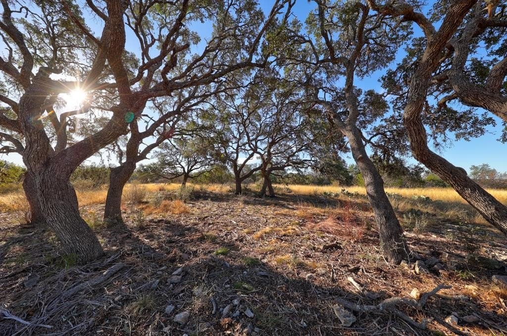 5.01 acres in Gillespie County - photo 9