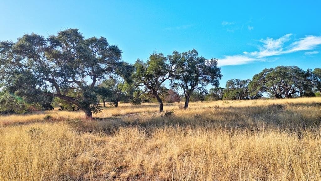 5.01 acres in Gillespie County - photo 18