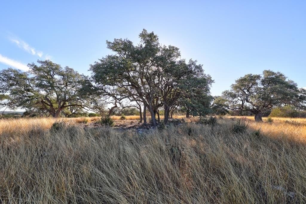 5.01 acres in Gillespie County - photo 6