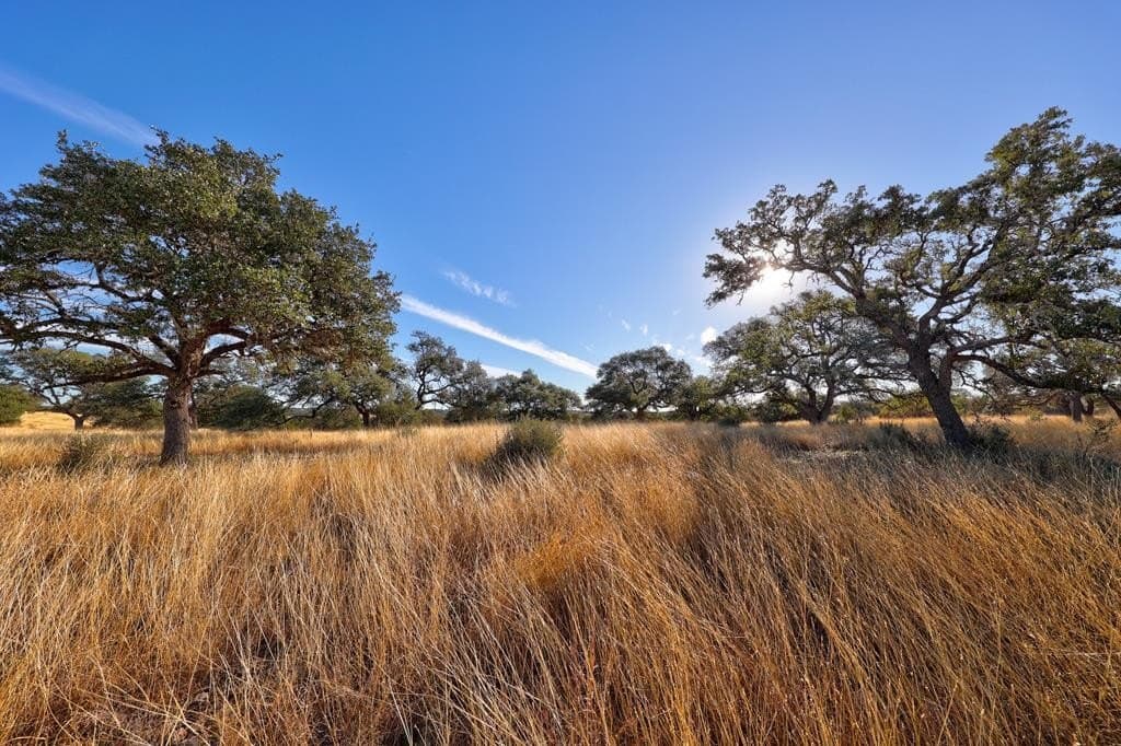 5.01 acres in Gillespie County featured view