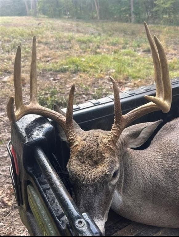 50.7 acres in Houston County - photo 17