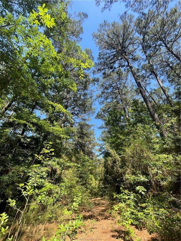50.7 acres in Houston County - photo 15