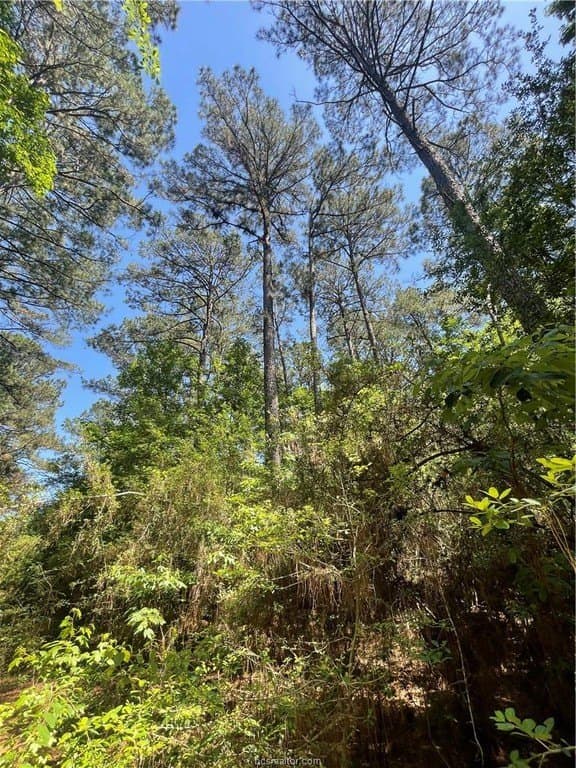 50.7 acres in Houston County - photo 16