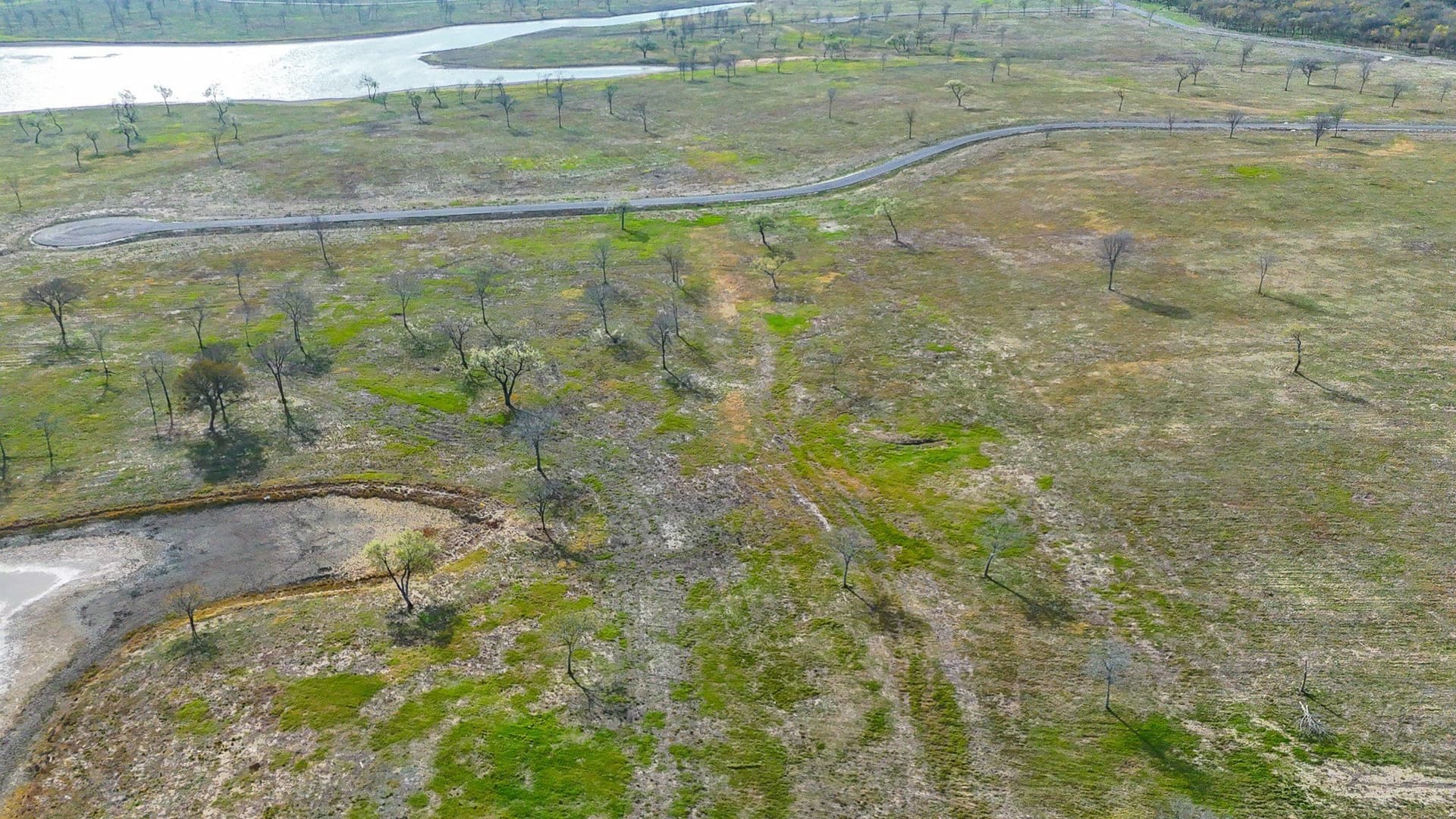 1.44 acres in Navarro County - photo 15