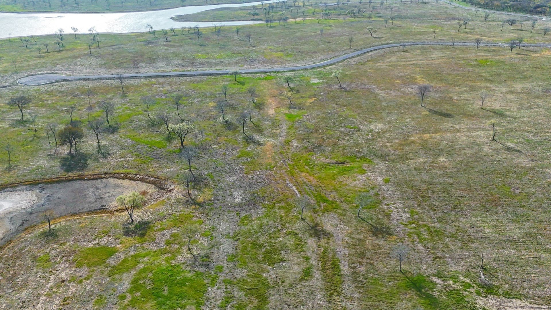 1.44 acres in Navarro County - photo 22