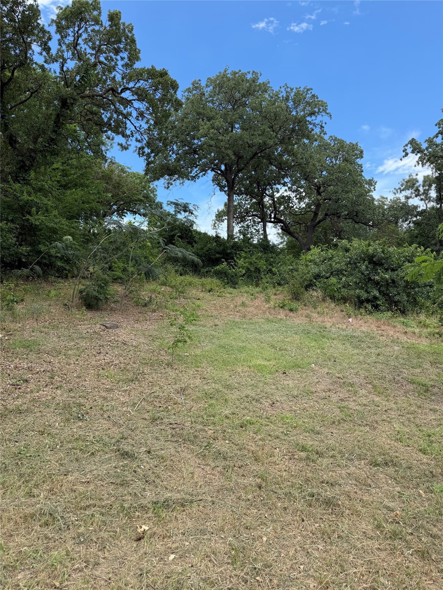 0.37 acres in Tarrant County - photo 12