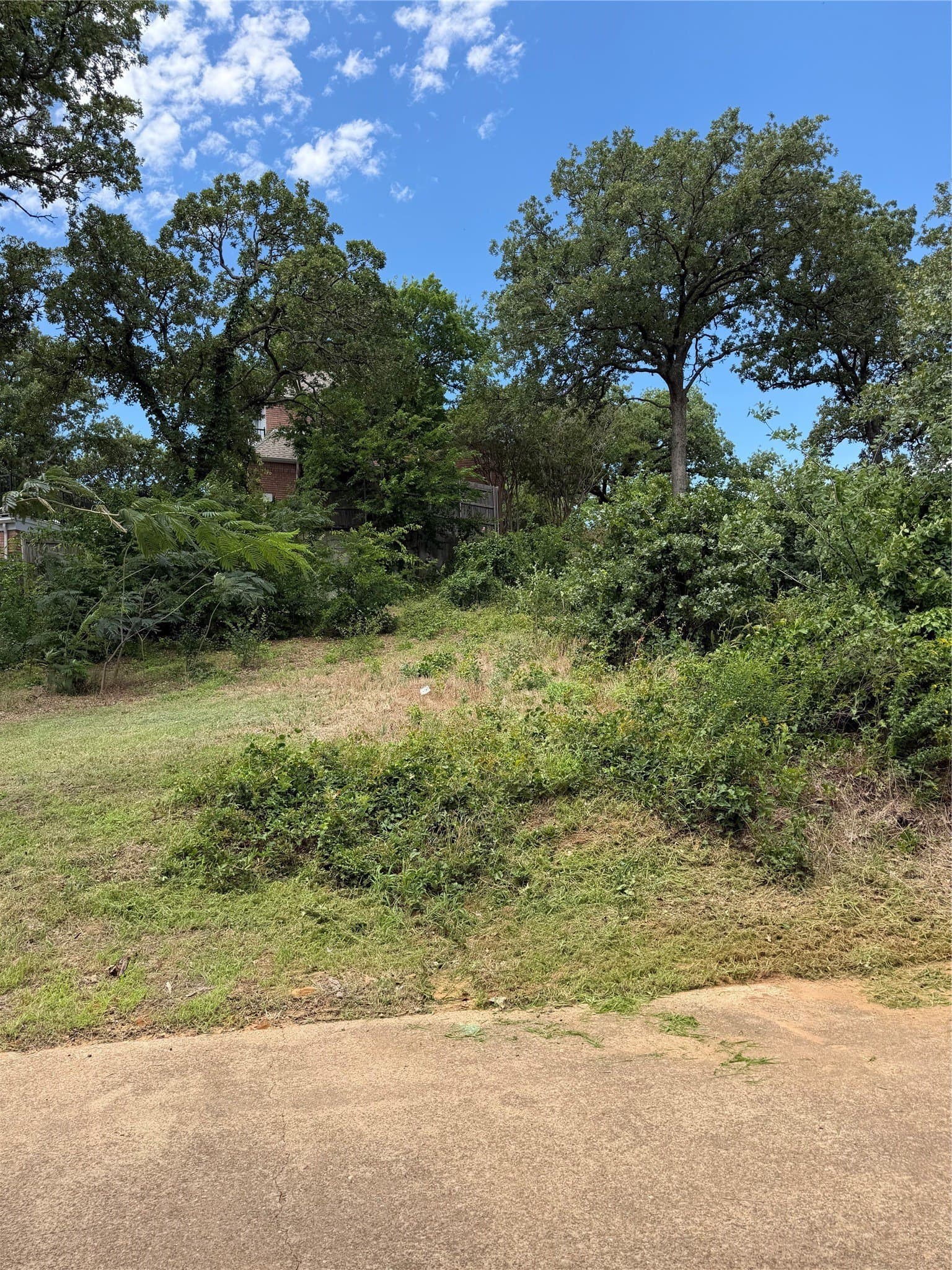 0.37 acres in Tarrant County - photo 14