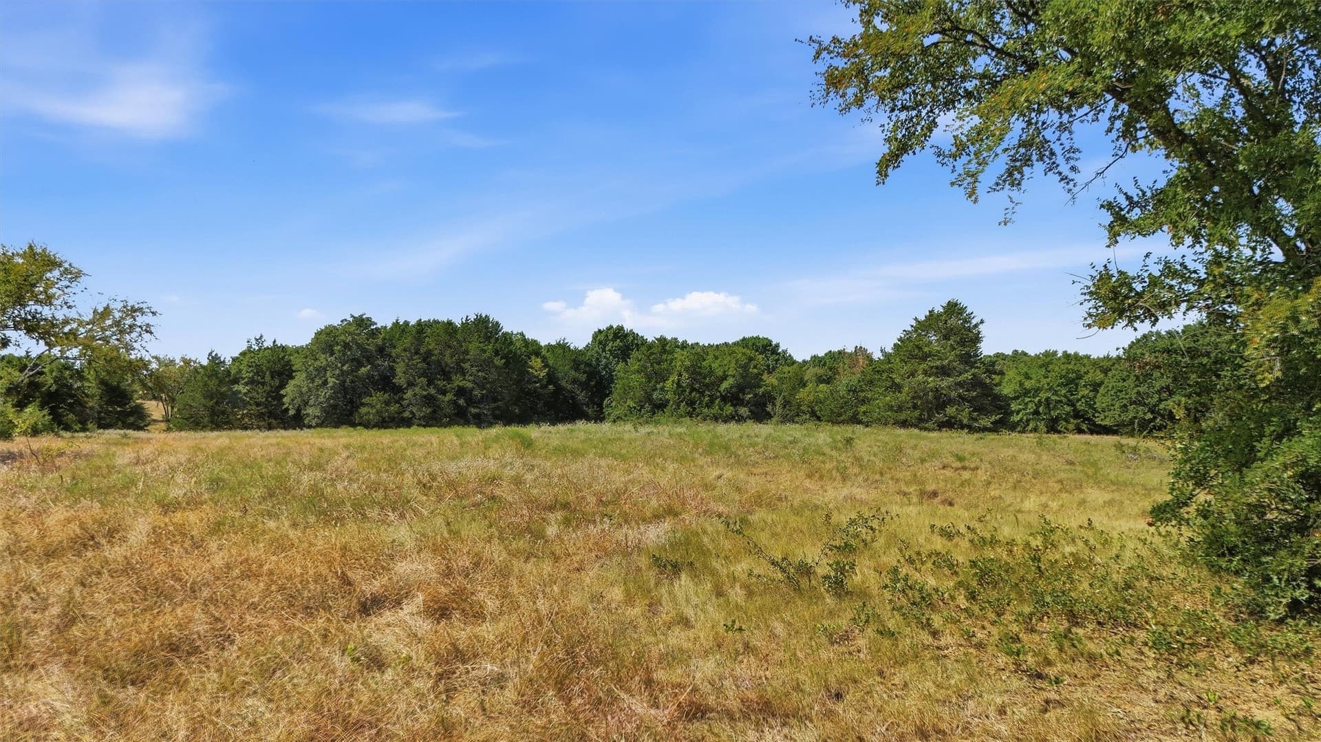 97.95 acres in Grayson County - photo 12