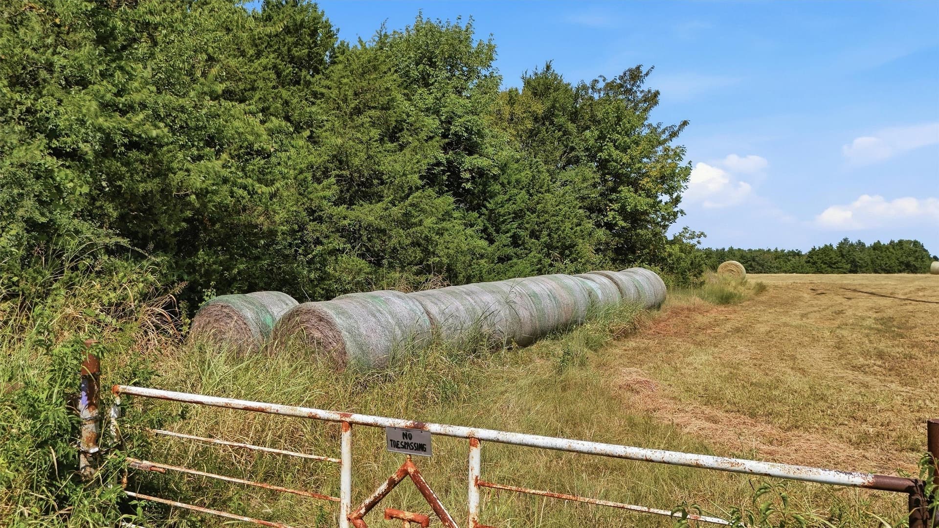 97.95 acres in Grayson County - photo 26
