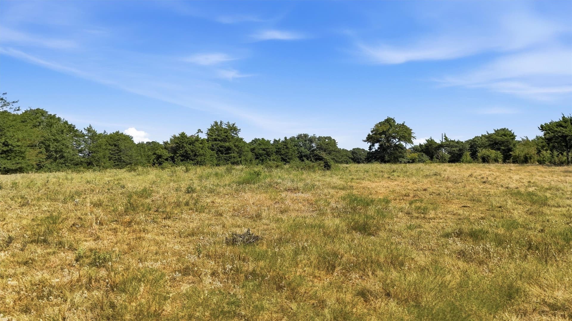97.95 acres in Grayson County - photo 15