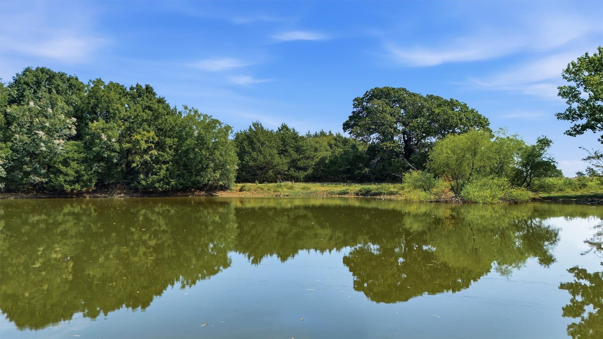 97.95 acres in Grayson County - photo 29