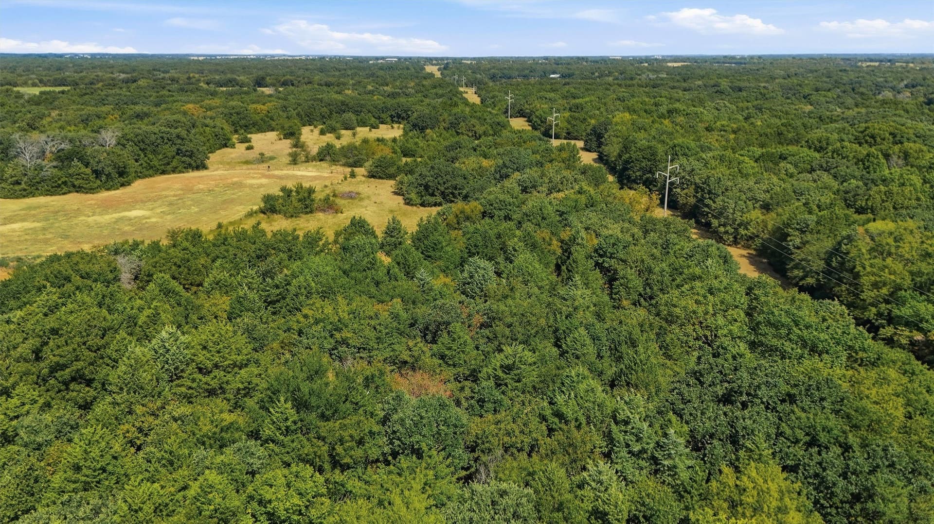 97.95 acres in Grayson County - photo 31