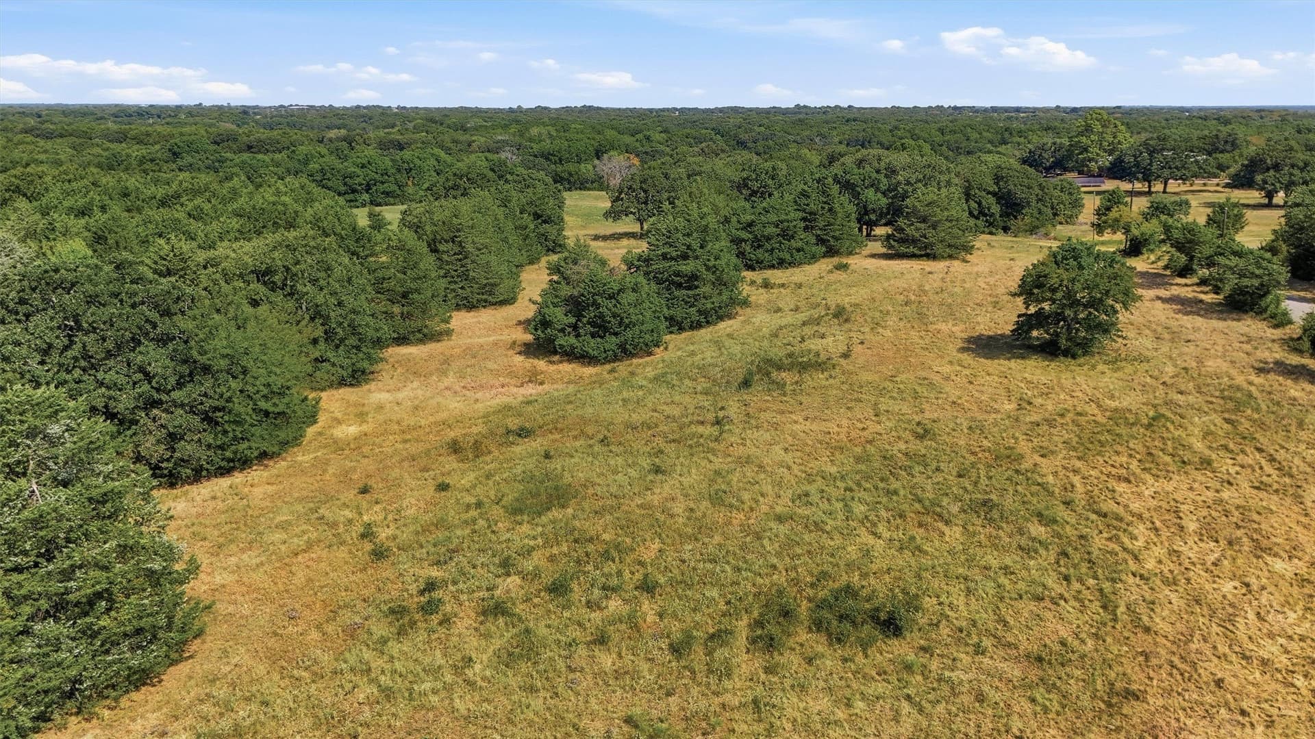 97.95 acres in Grayson County - photo 16