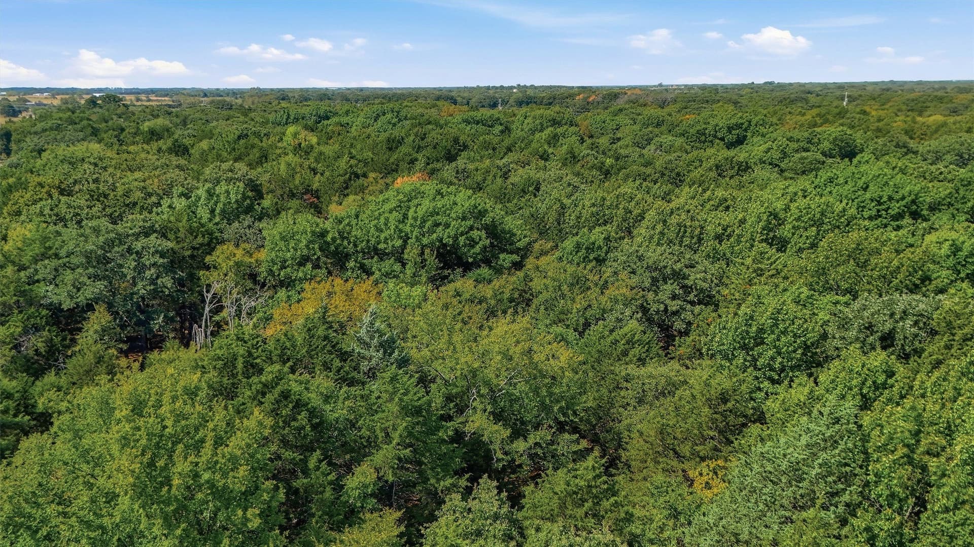 97.95 acres in Grayson County - photo 18