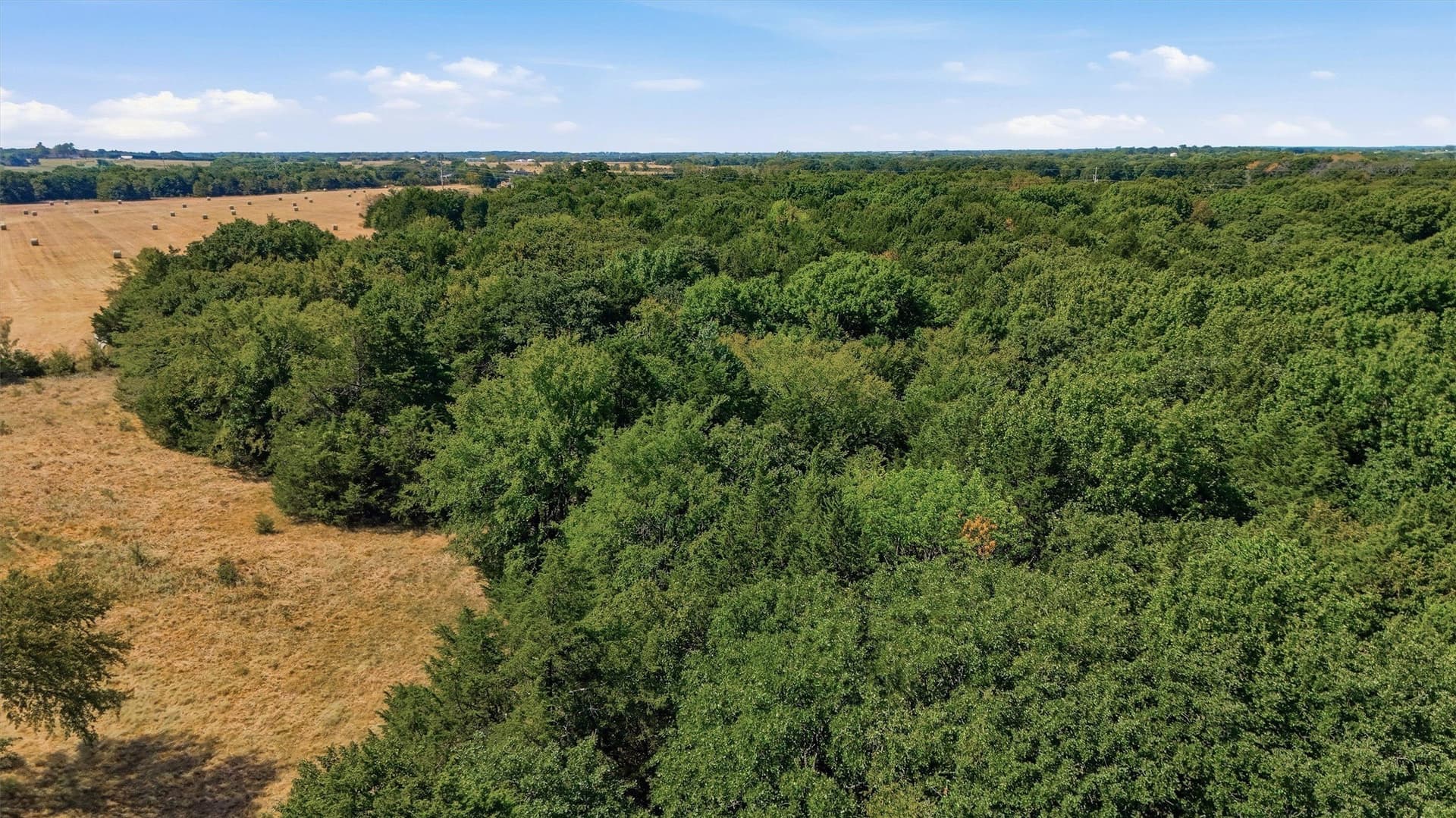 97.95 acres in Grayson County - photo 17