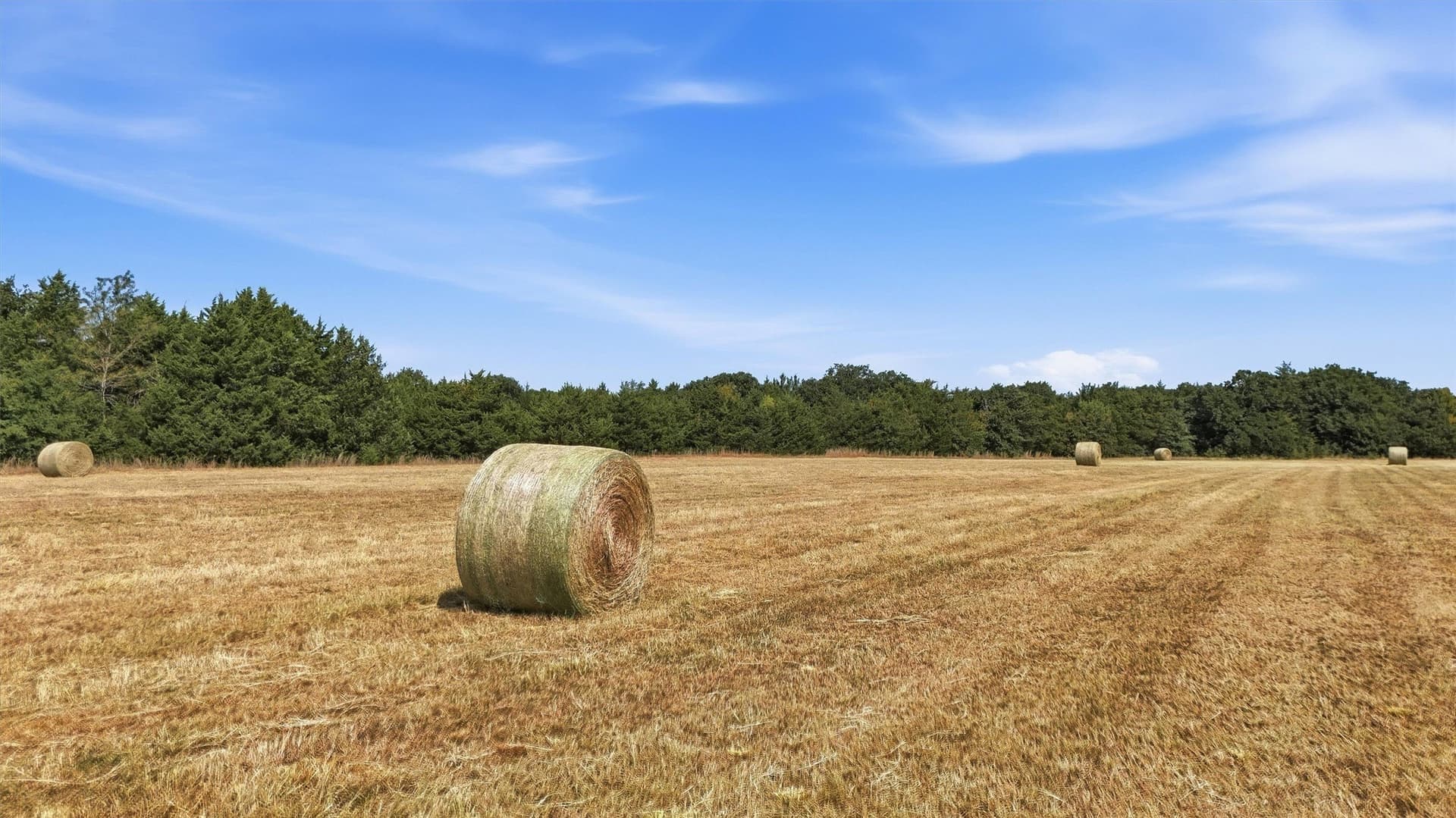 97.95 acres in Grayson County - photo 21