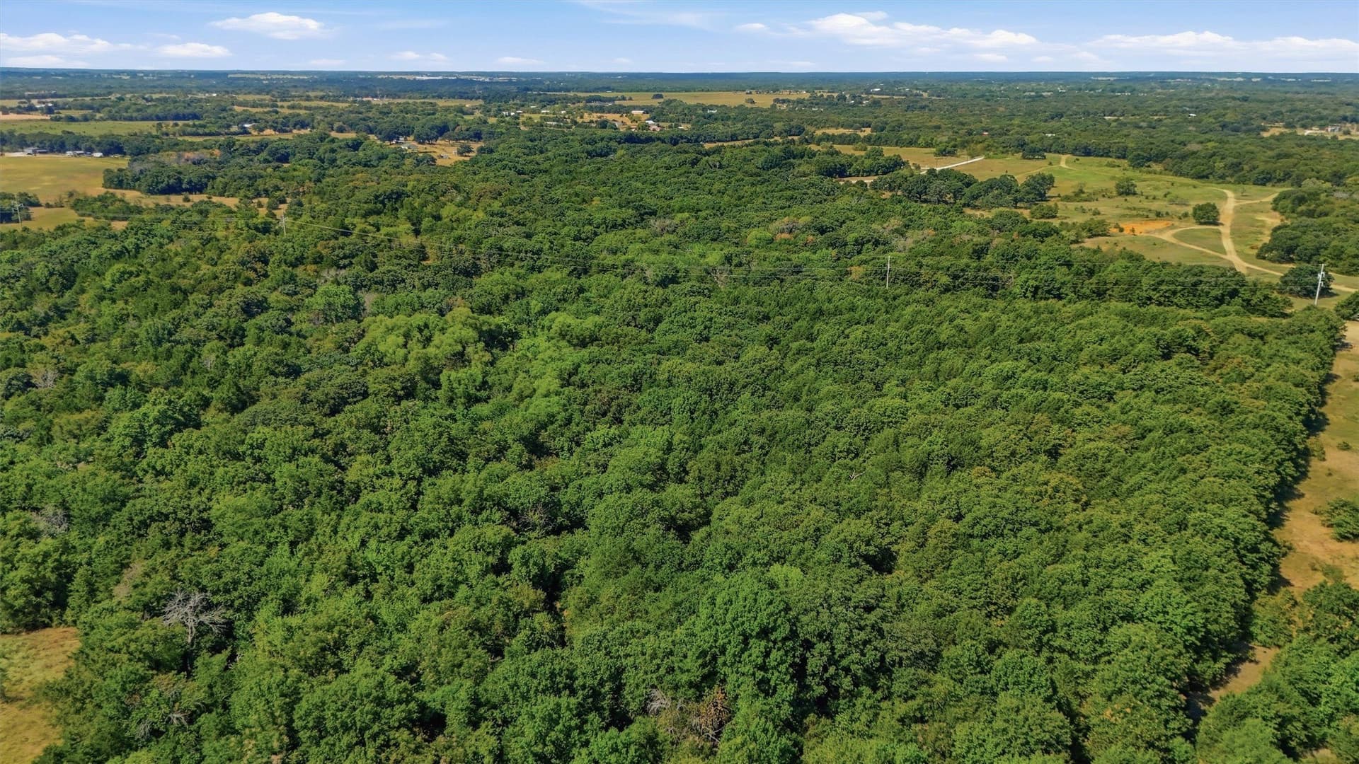 97.95 acres in Grayson County - photo 9