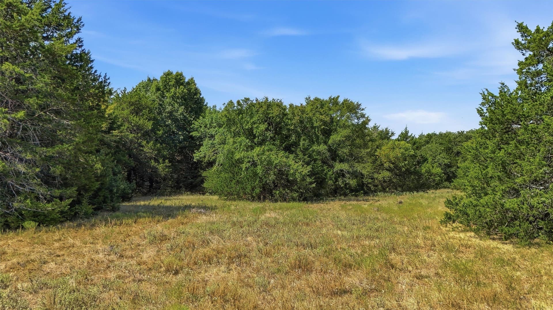 97.95 acres in Grayson County - photo 14