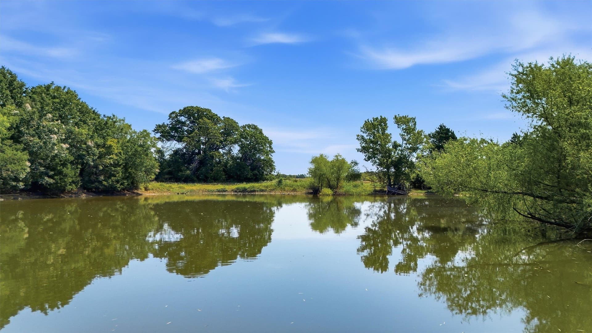 97.95 acres in Grayson County - photo 30