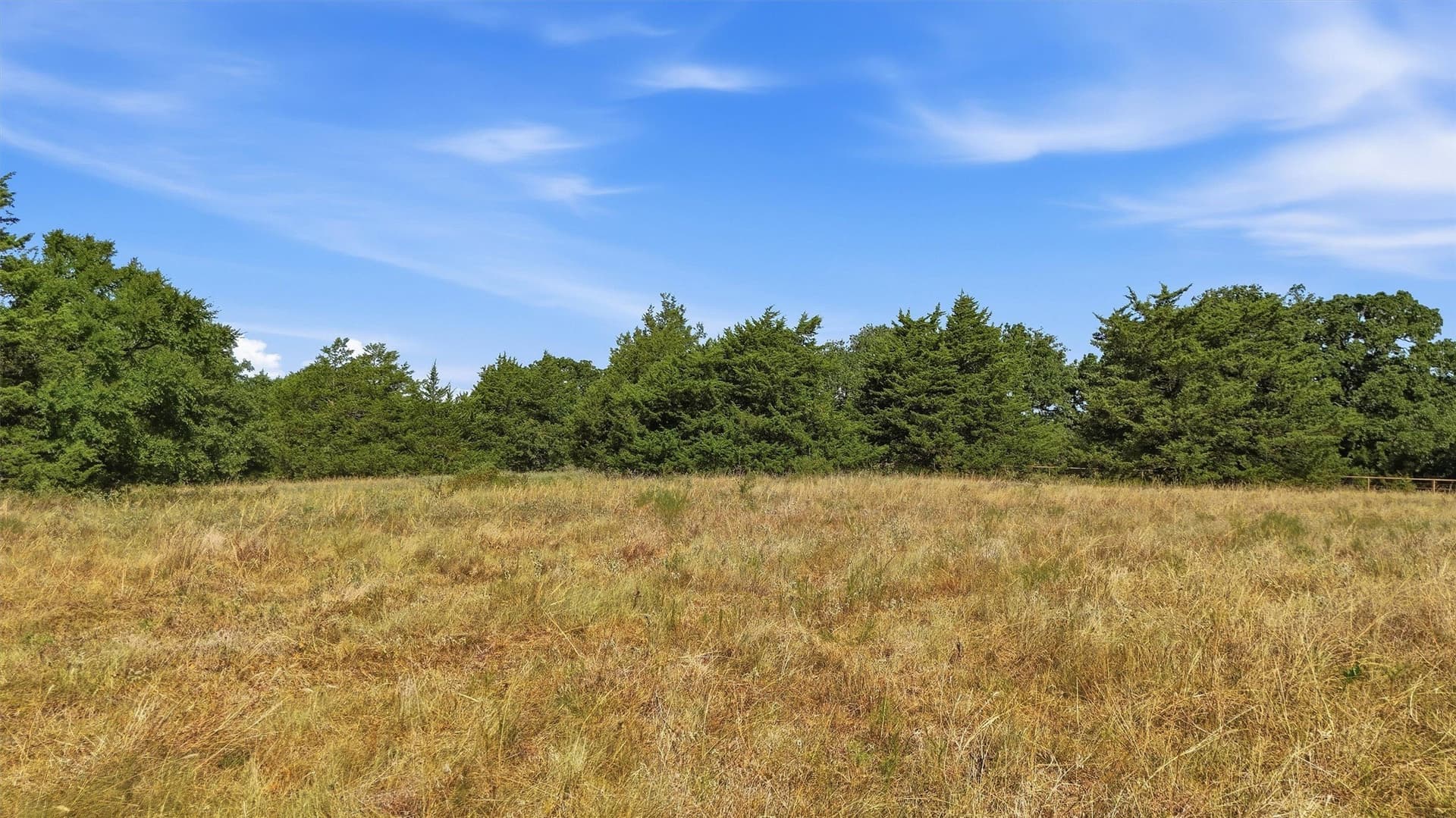 97.95 acres in Grayson County - photo 13