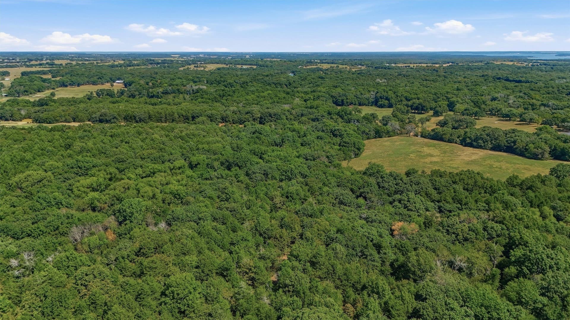 97.95 acres in Grayson County - photo 34