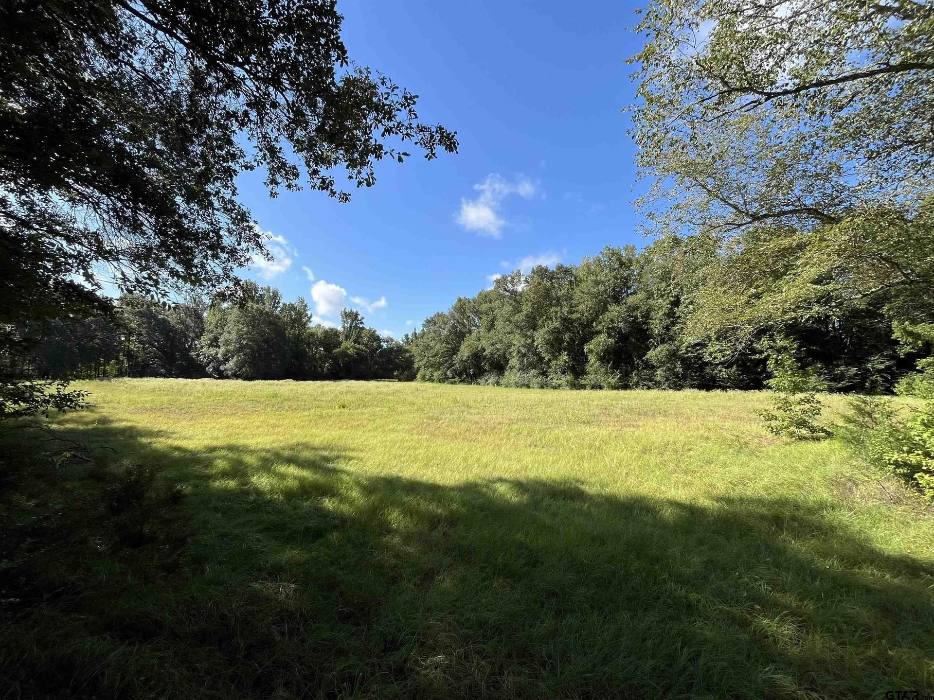 70 acres in Smith County - photo 4