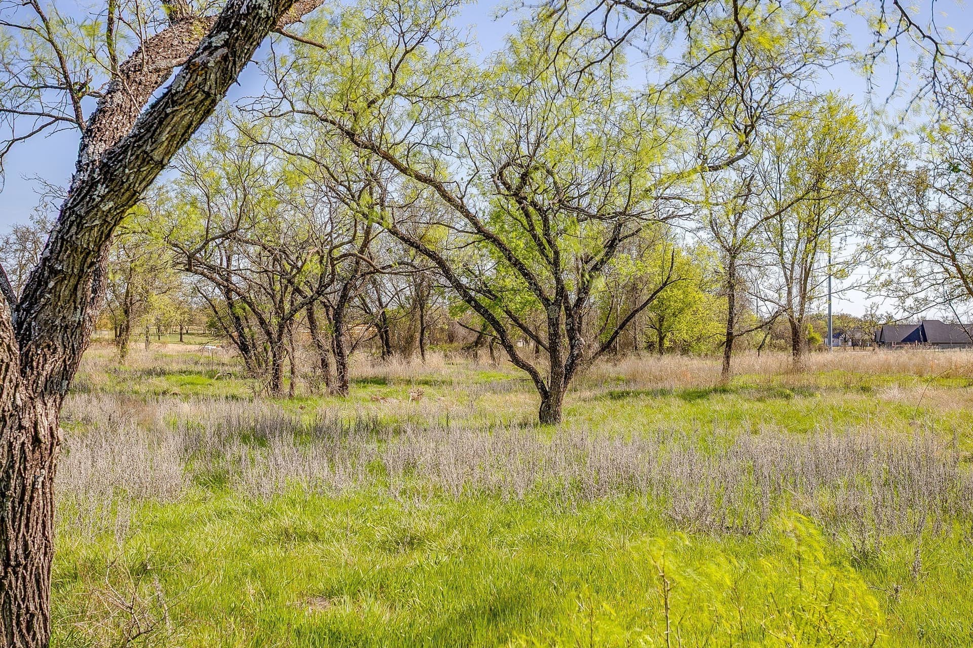 2.05 acres in Parker County - photo 20
