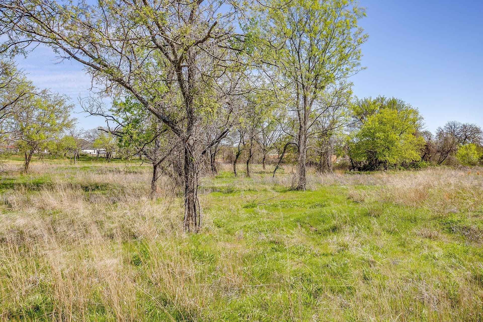 2.05 acres in Parker County - photo 24