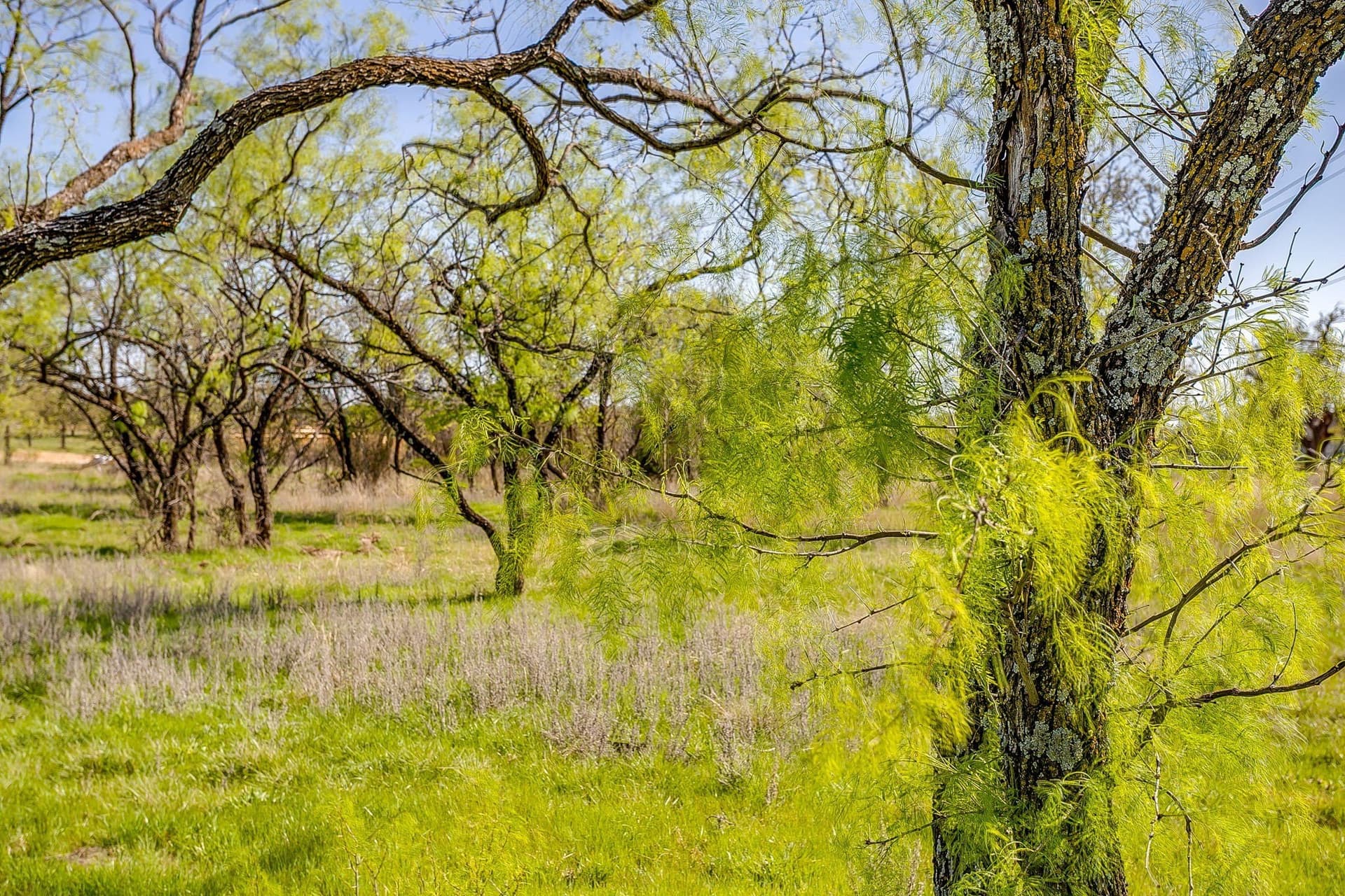 2.05 acres in Parker County - photo 21