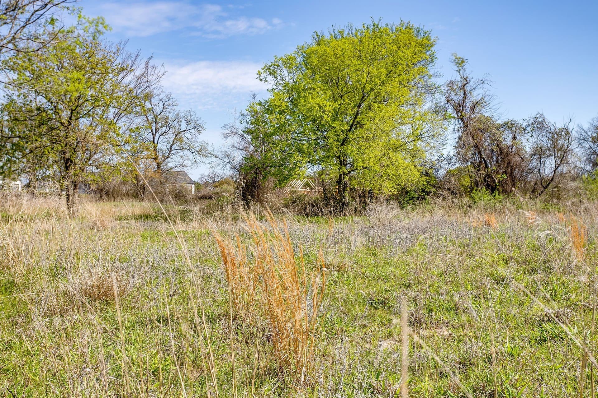 2.05 acres in Parker County - photo 9