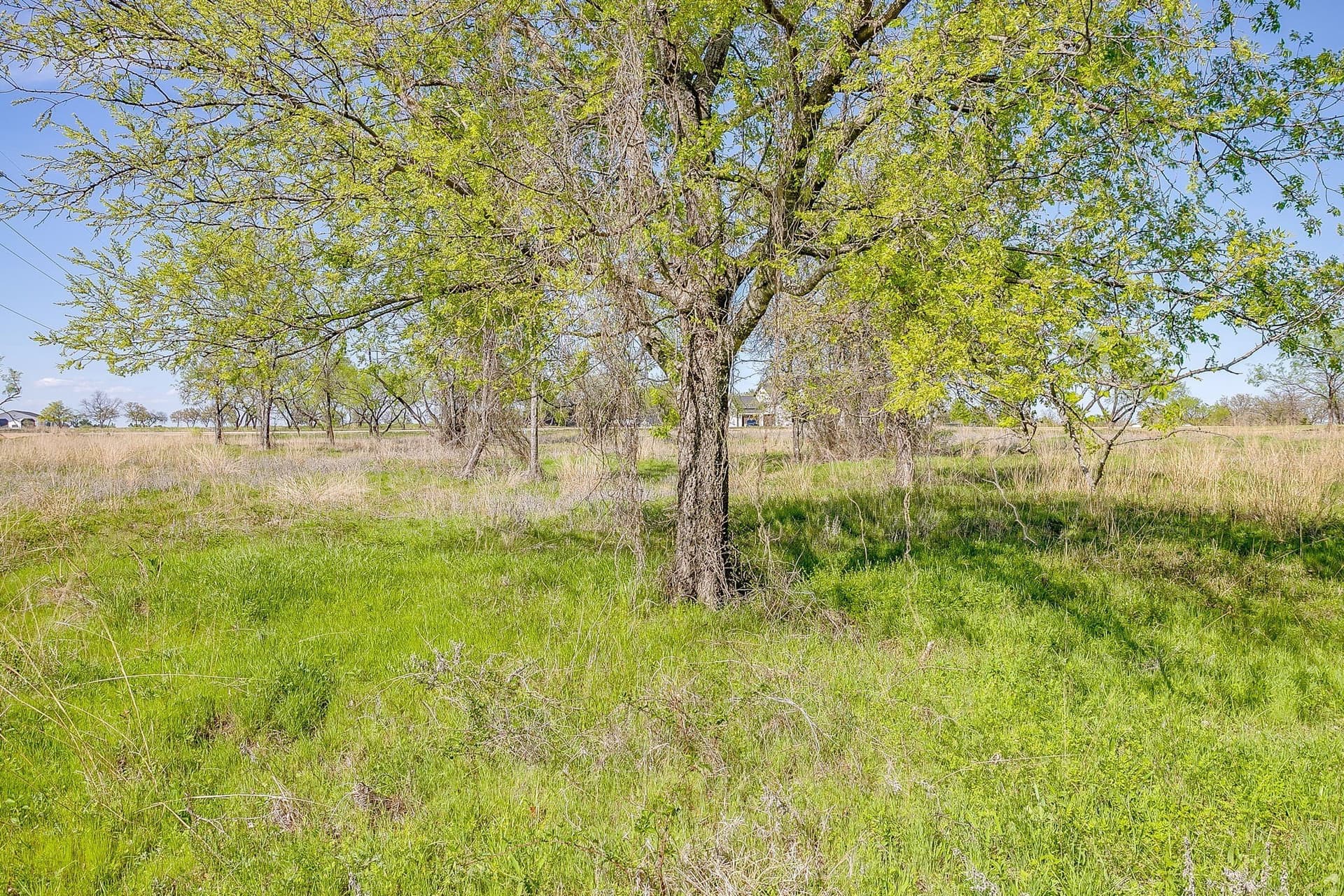 2.05 acres in Parker County - photo 29