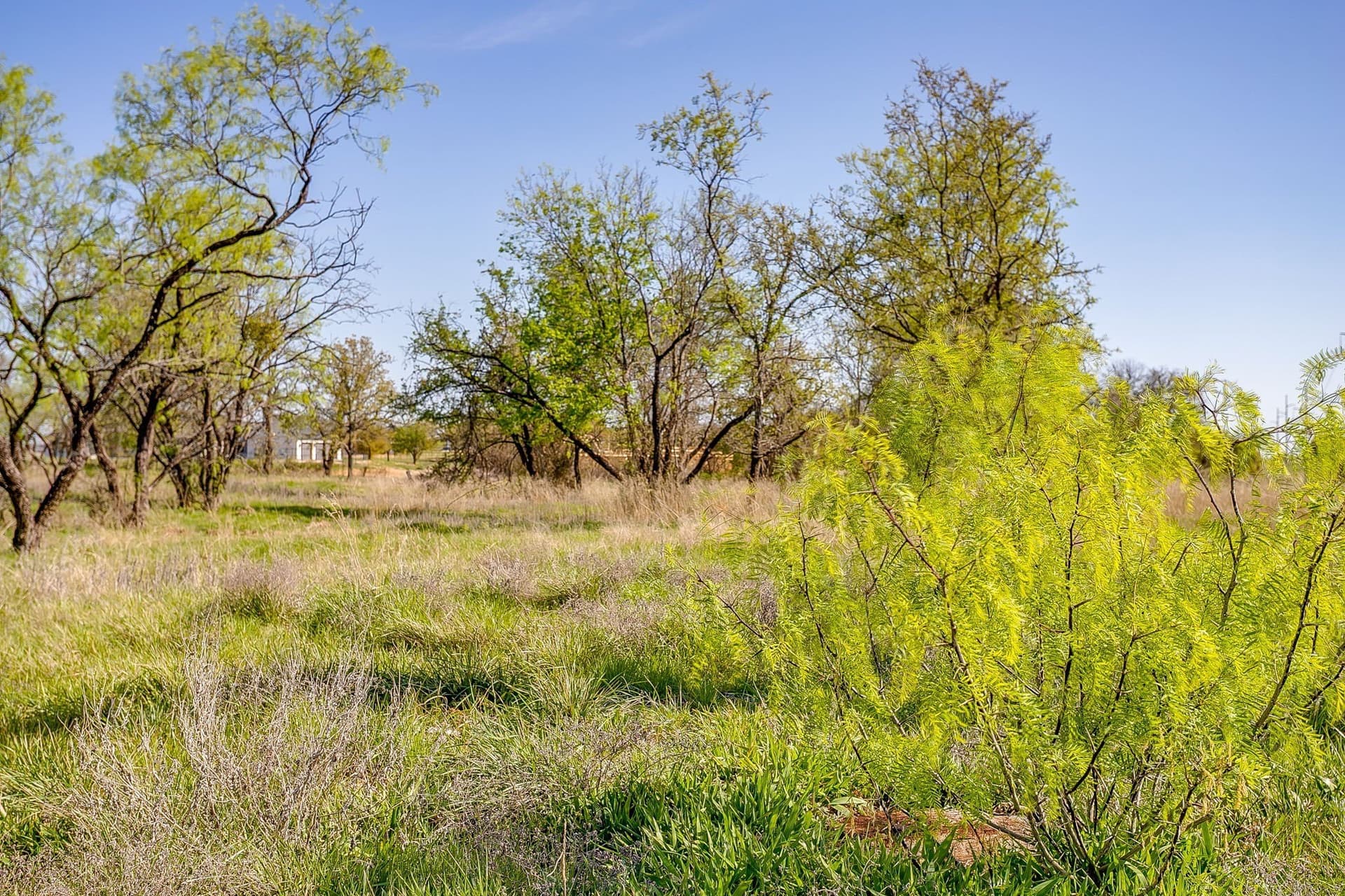 2.05 acres in Parker County - photo 19