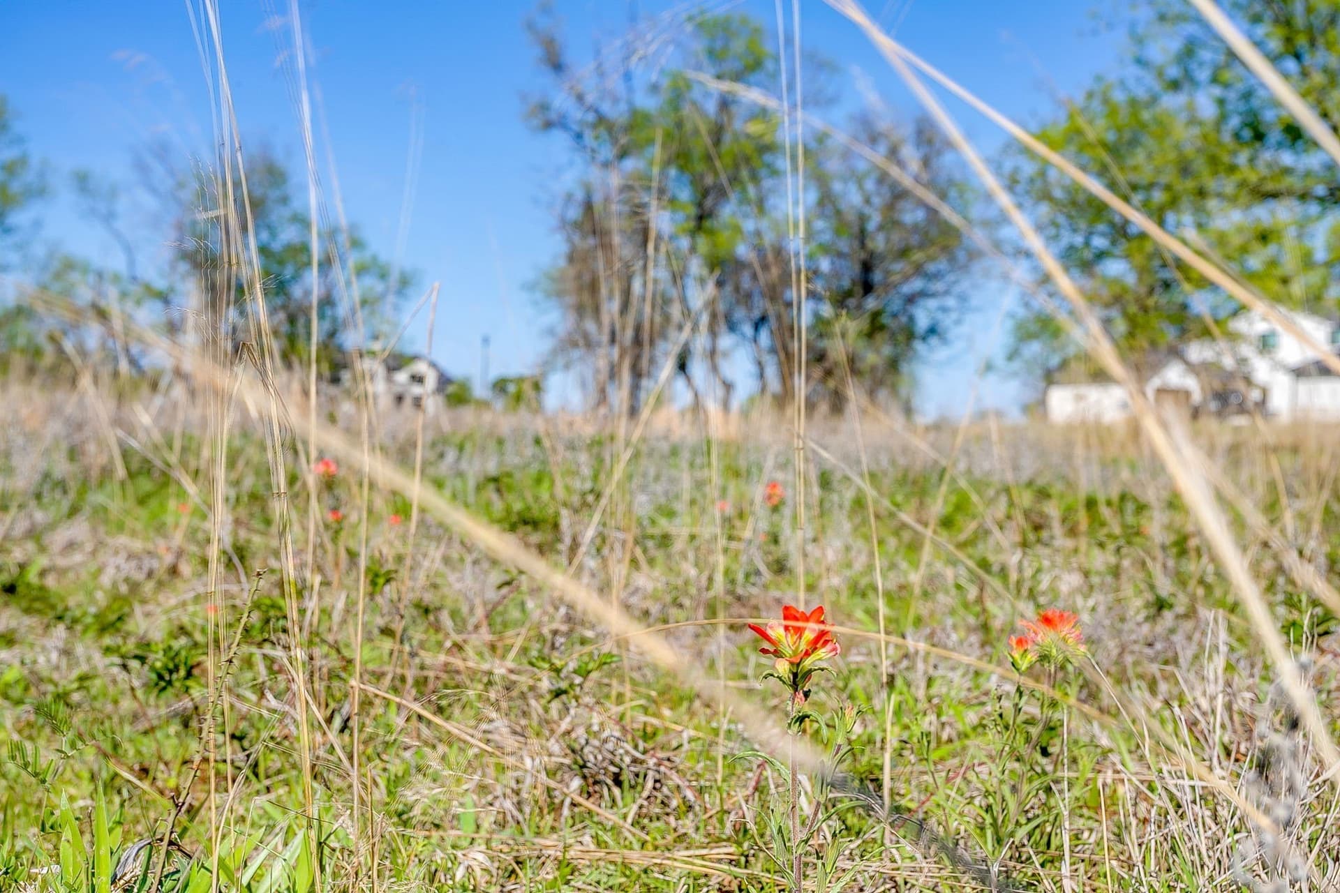 2.05 acres in Parker County - photo 22