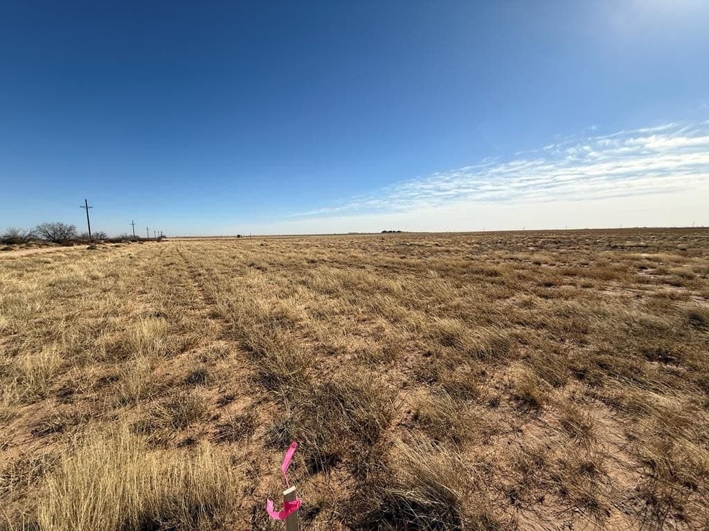 1 acres in Midland County - photo 16