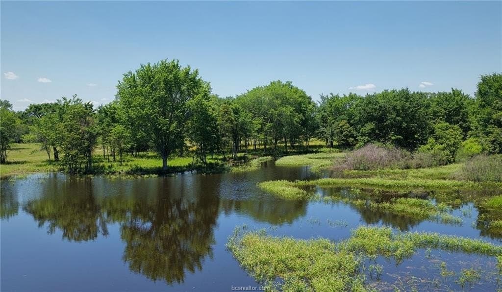 81.02 acres in Burleson County - photo 16