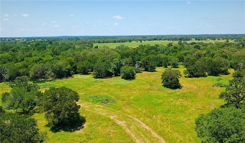 81.02 acres in Burleson County - photo 13