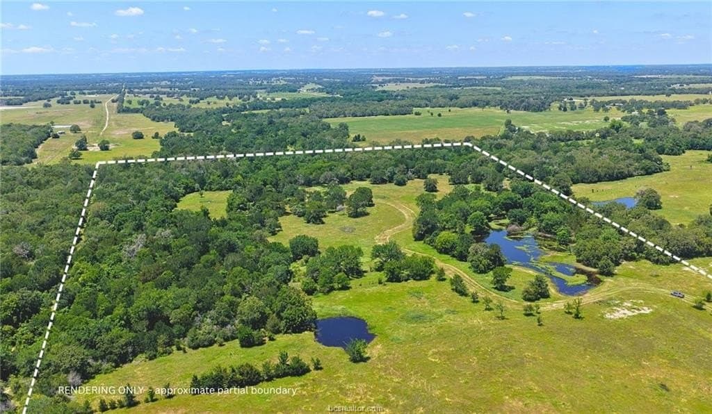 81.02 acres in Burleson County - photo 9