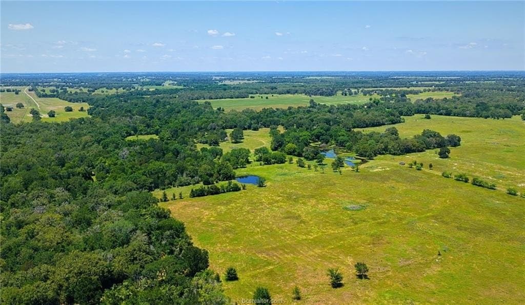 81.02 acres in Burleson County - photo 12