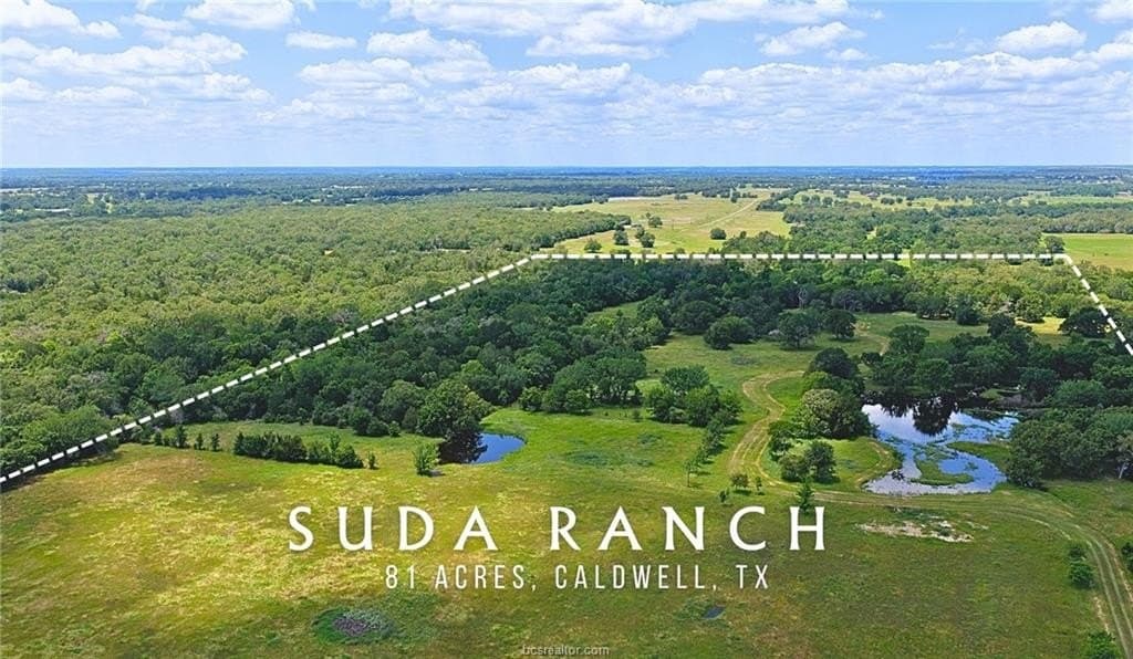 81.02 acres in Burleson County