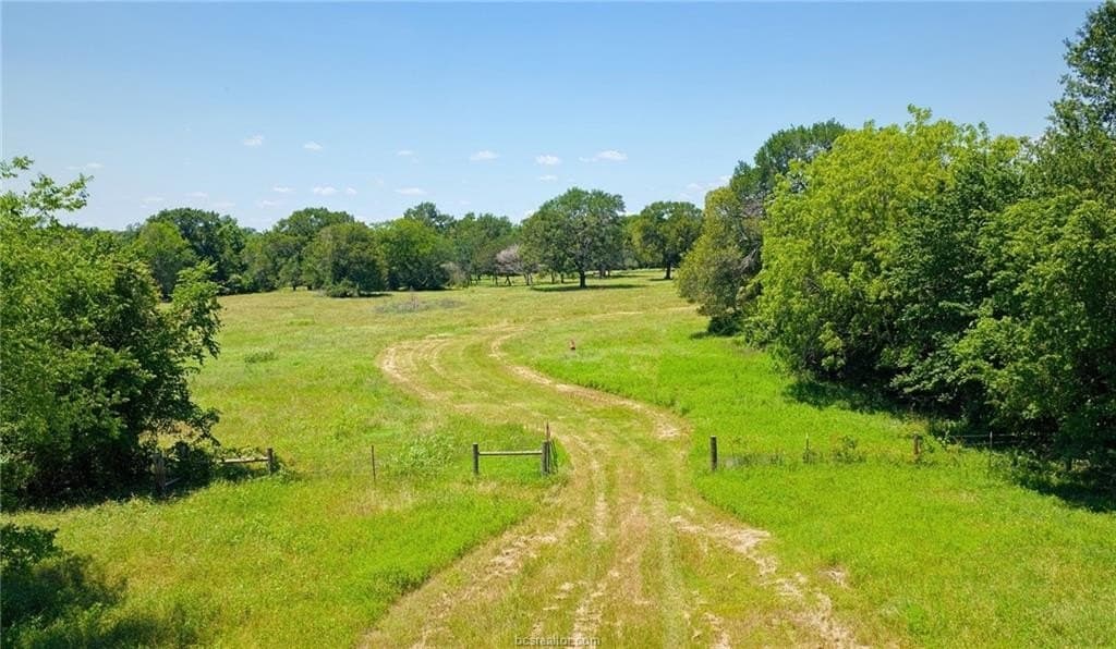 81.02 acres in Burleson County - photo 14